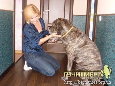 Інна Шевченко і собака Бара, блог Інни Шевченко